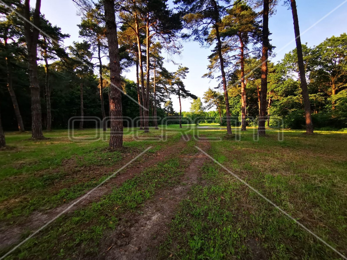 Mačkovec, Mačkovec, 55.355,00 m2, 700.000,00 EUR