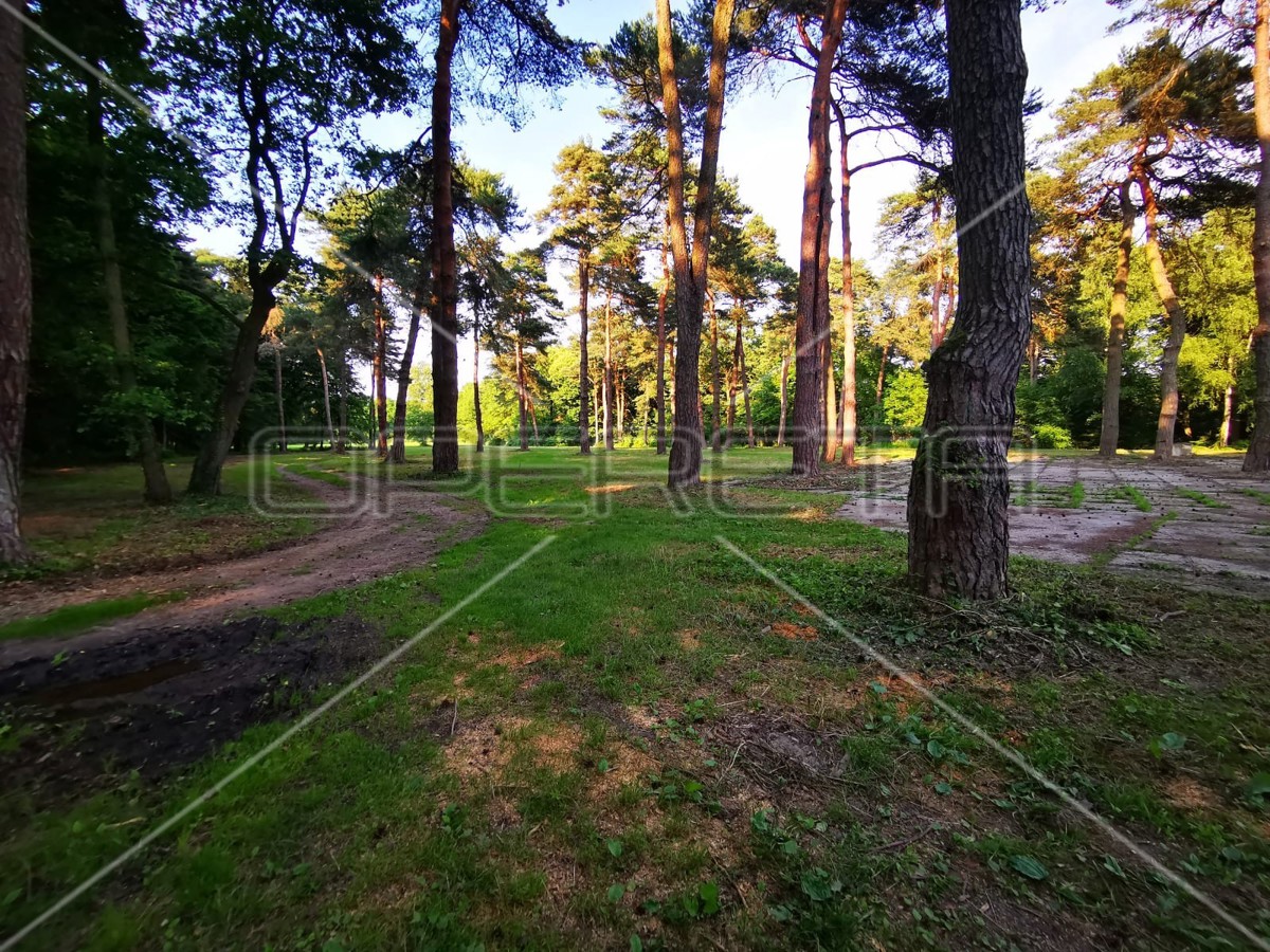 Mačkovec, Mačkovec, 55.355,00 m2, 700.000,00 EUR