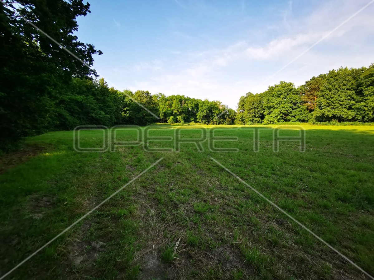 Mačkovec, Mačkovec, 55.355,00 m2, 700.000,00 EUR