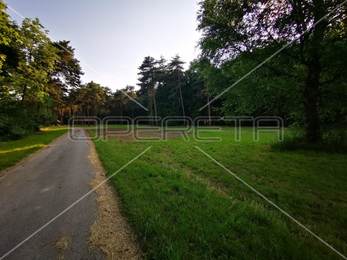 Mačkovec, Mačkovec, 55.355,00 m2, 700.000,00 EUR