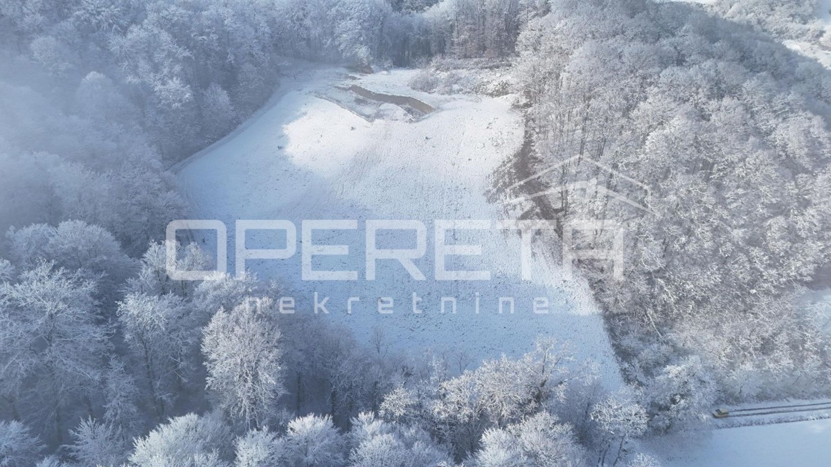 Družilovec, Veliko Trgovišće, Veliko Trgovišće, 13.654,00 m2, 195.000,00 EUR