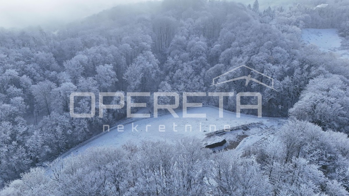 Družilovec, Veliko Trgovišće, Veliko Trgovišće, 13.654,00 m2, 195.000,00 EUR