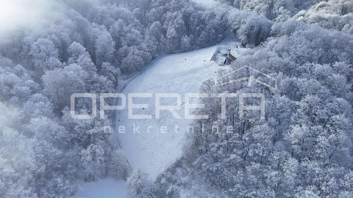 Družilovec, Veliko Trgovišće, Veliko Trgovišće, 13.654,00 m2, 195.000,00 EUR