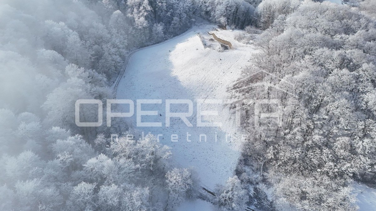 Družilovec, Veliko Trgovišće, Veliko Trgovišće, 13.654,00 m2, 195.000,00 EUR