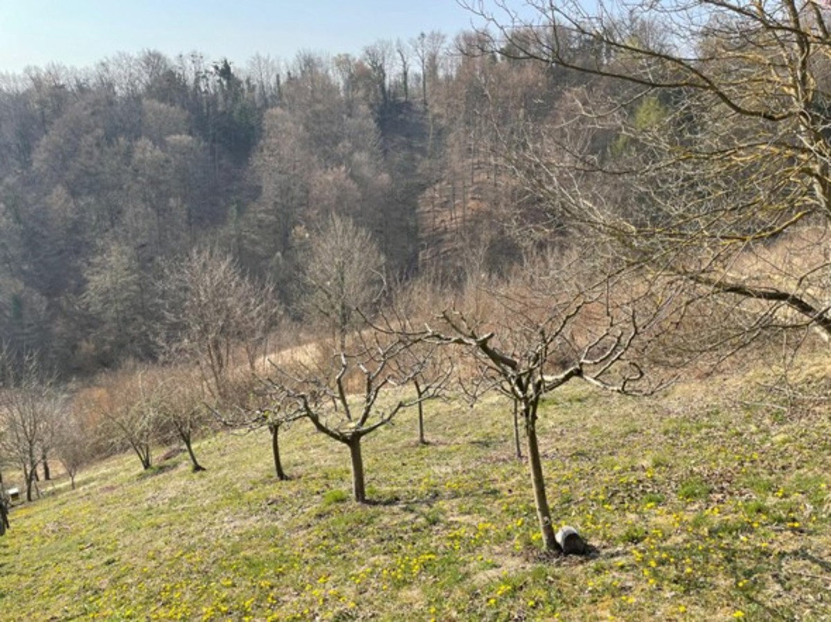 Vendita, Casa, Gornja Voća, Gornja Voća, Indipendente, 78m2