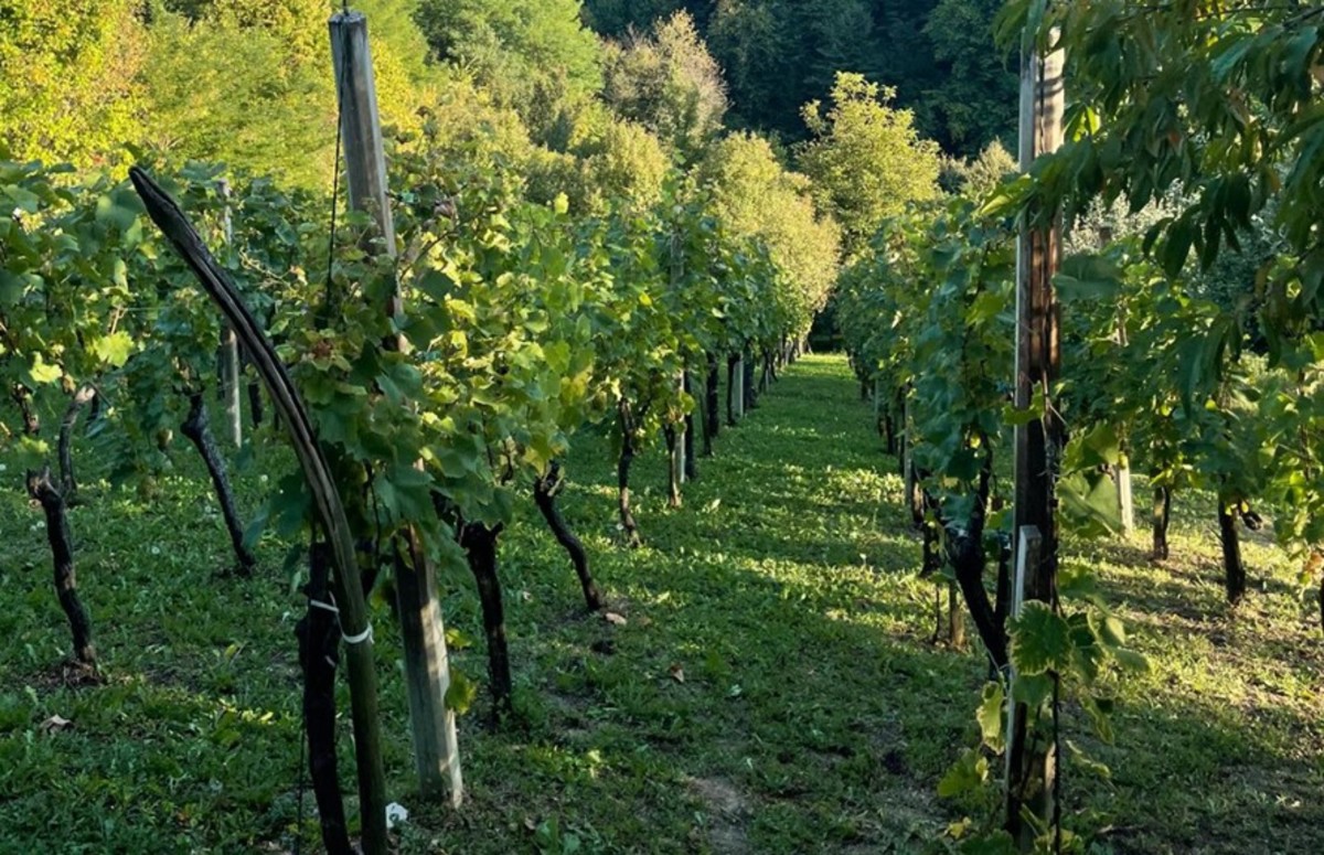 Vendita, Casa, Gornja Voća, Gornja Voća, Indipendente, 78m2