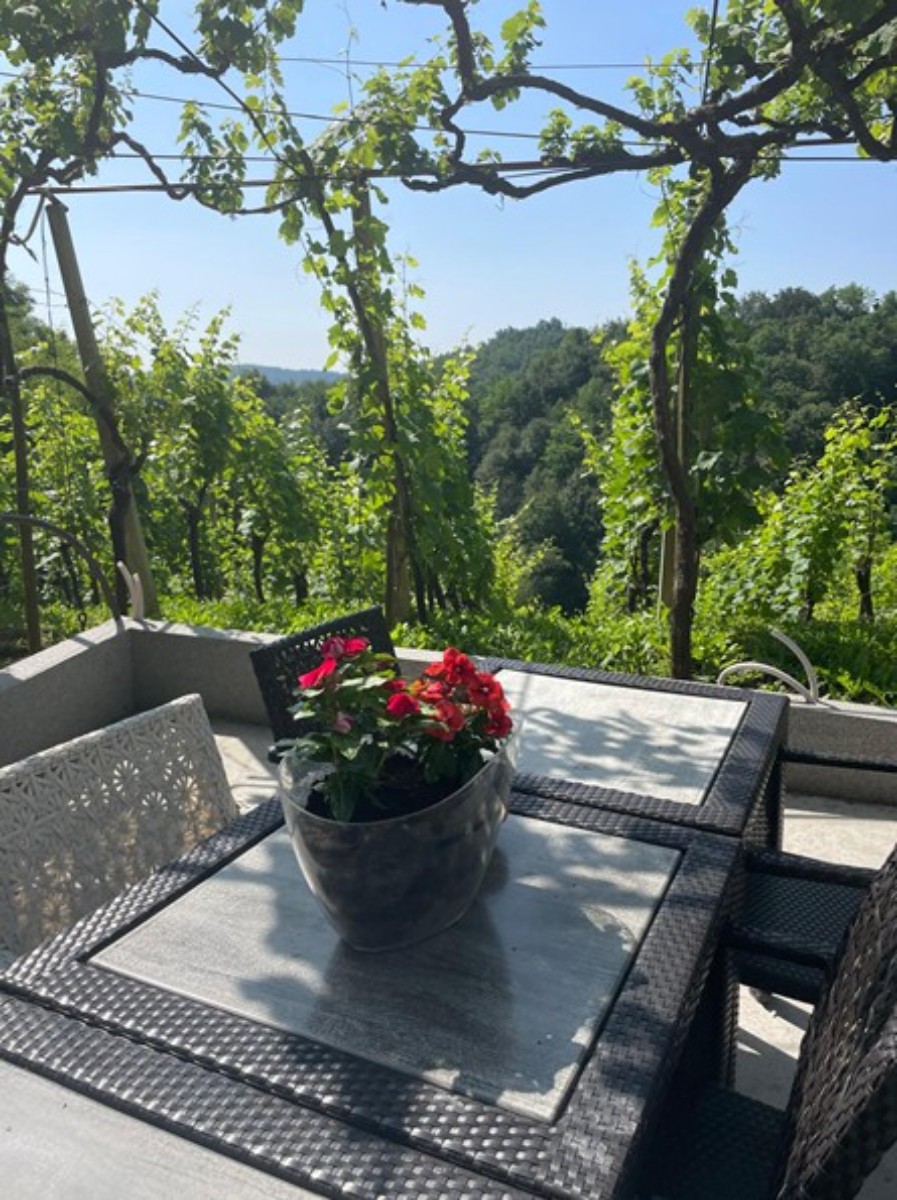 Vendita, Casa, Gornja Voća, Gornja Voća, Indipendente, 78m2