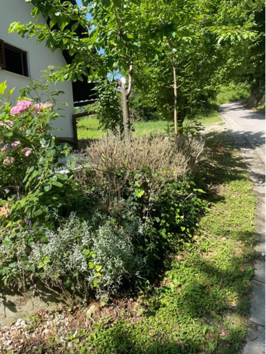 Vendita, Casa, Gornja Voća, Gornja Voća, Indipendente, 78m2