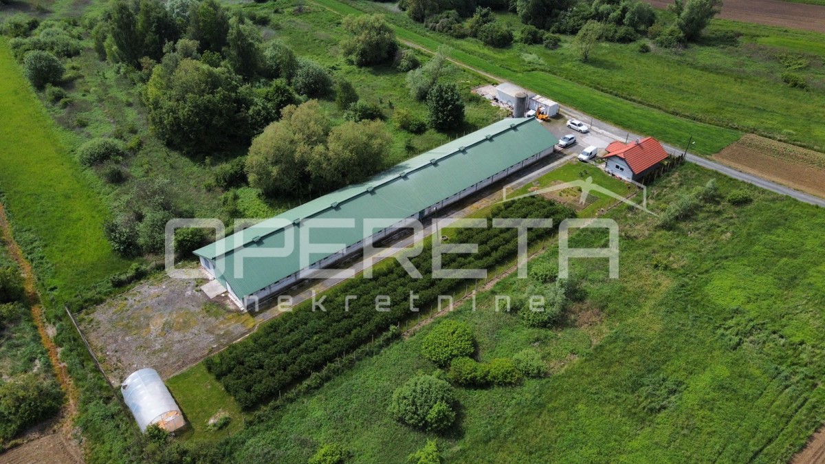 Vendita, Magazzino-Capannone, Novi Marof, Ključ, 3464m2