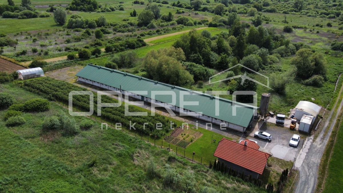 Vendita, Magazzino-Capannone, Novi Marof, Ključ, 3464m2