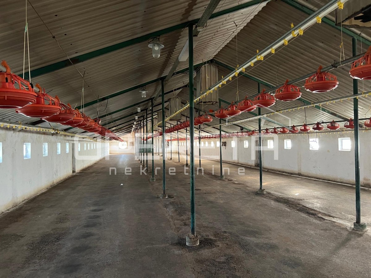 Vendita, Magazzino-Capannone, Novi Marof, Ključ, 3464m2