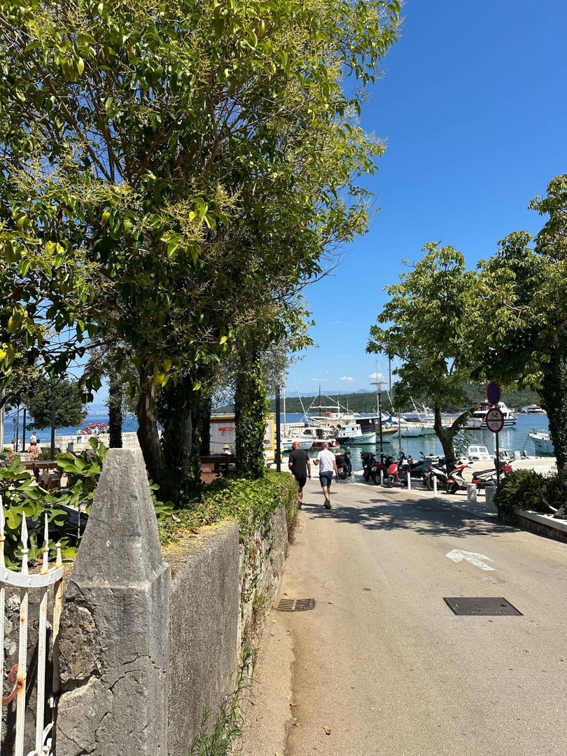 Primo piano sul mare! Appartamento di lusso con vista mare - Njivice