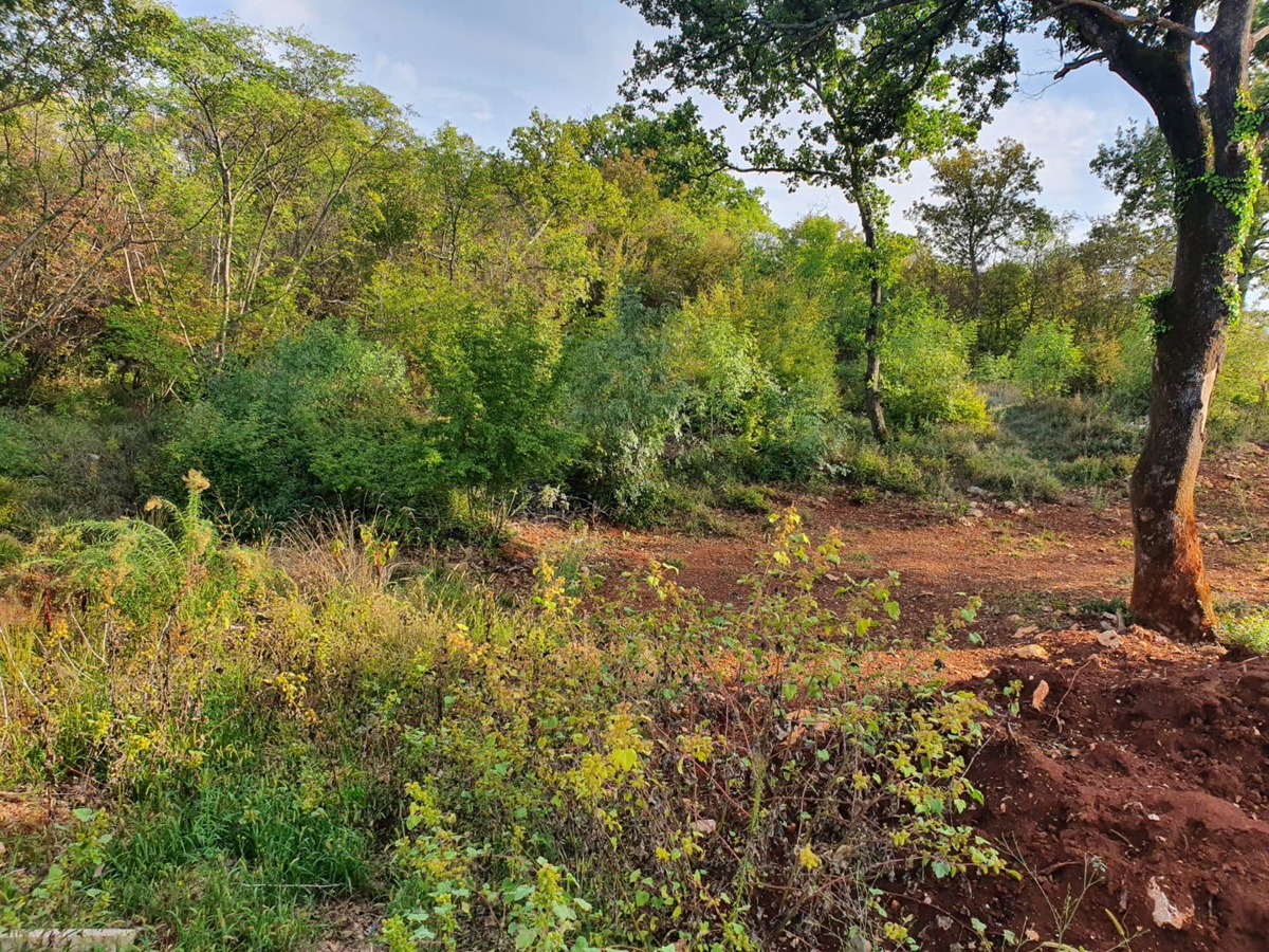 Terreno edificabile con vista mare e permesso di costruzione – 1089 m², a 500 m dal mare