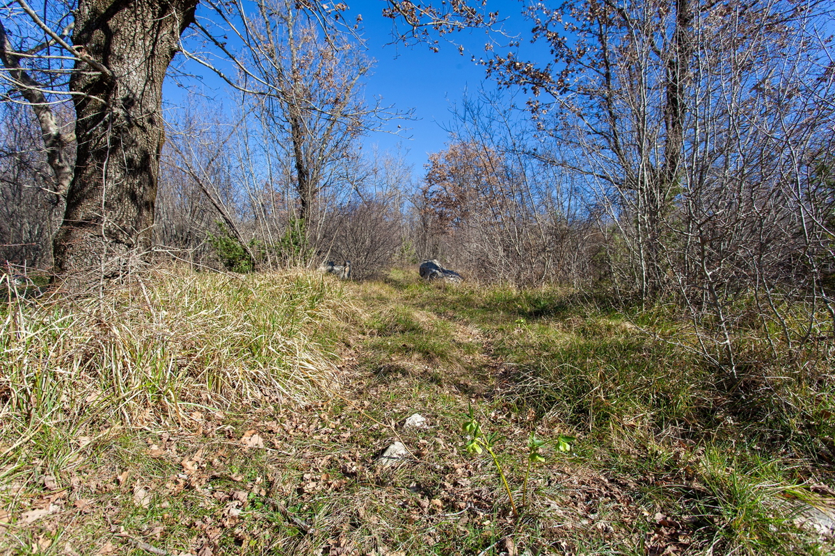 Ampio terreno agricolo di 46.116 m² in un ambiente naturale di Krka e Vrha.