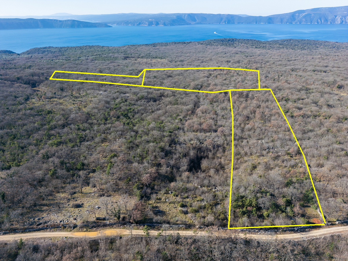 Ampio terreno agricolo di 46.116 m² in un ambiente naturale di Krka e Vrha.