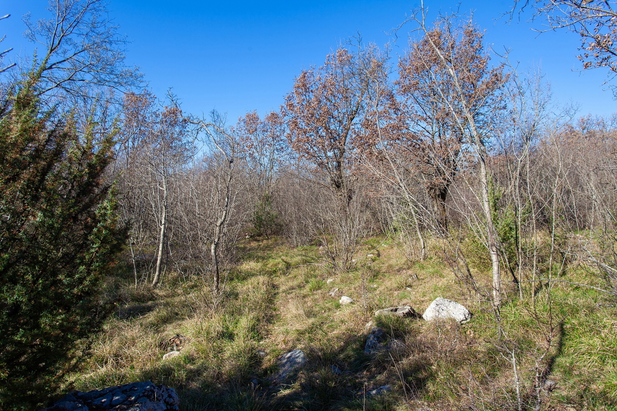 Ampio terreno agricolo di 46.116 m² in un ambiente naturale di Krka e Vrha.