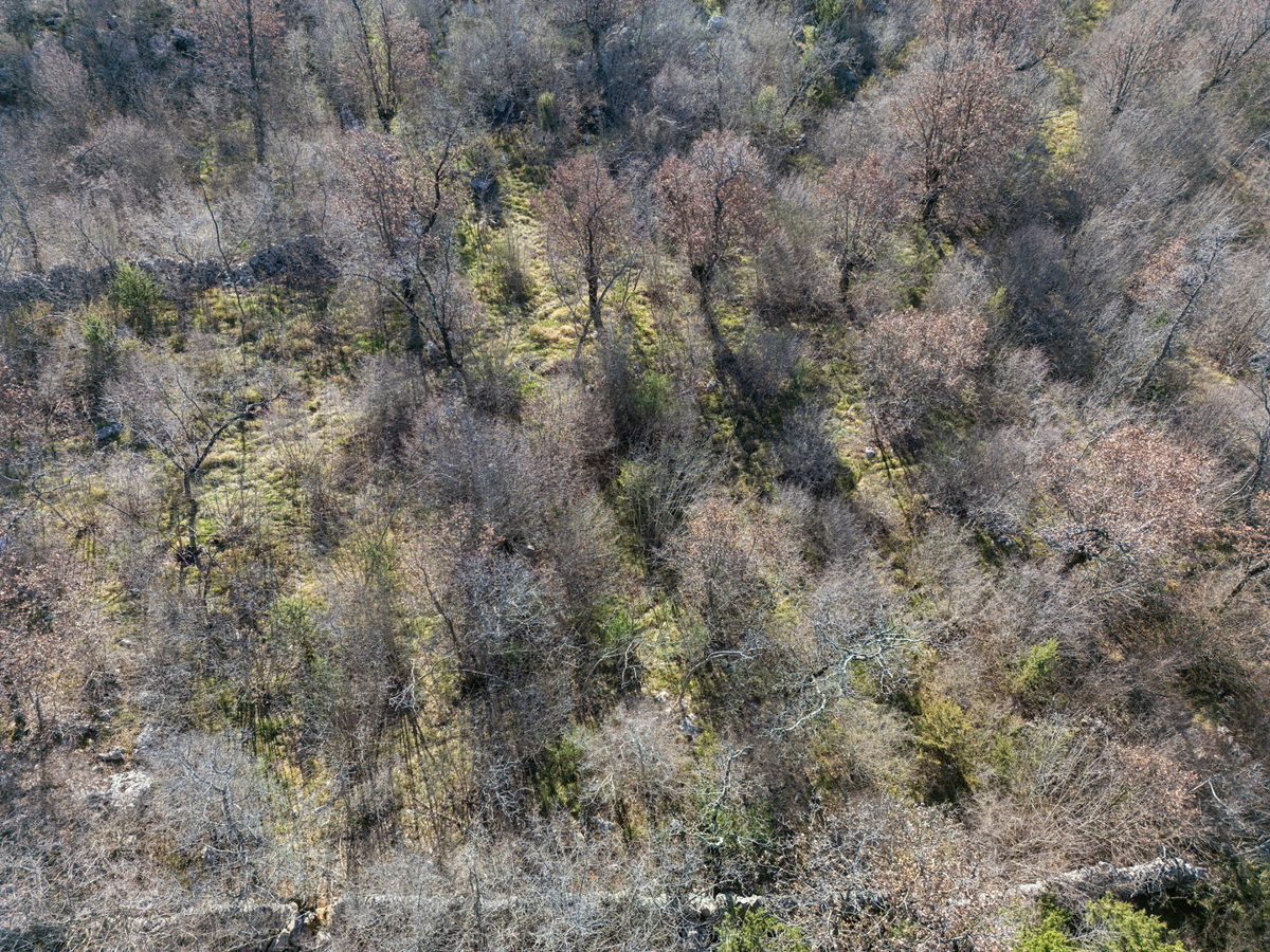 Ampio terreno agricolo di 46.116 m² in un ambiente naturale di Krka e Vrha.