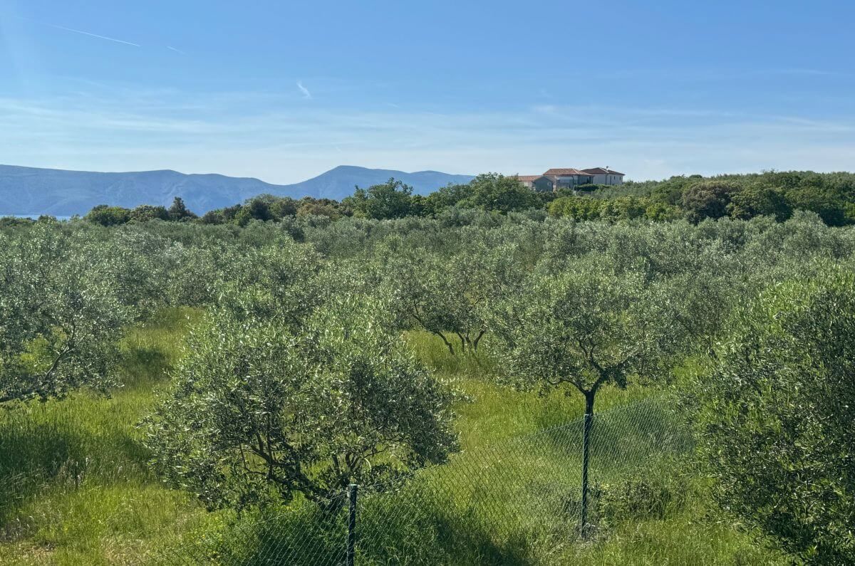 Terreno edificabile con permesso nel progetto, Pinezići