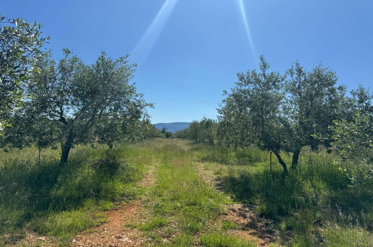 Terreno edificabile con permesso nel progetto, Pinezići