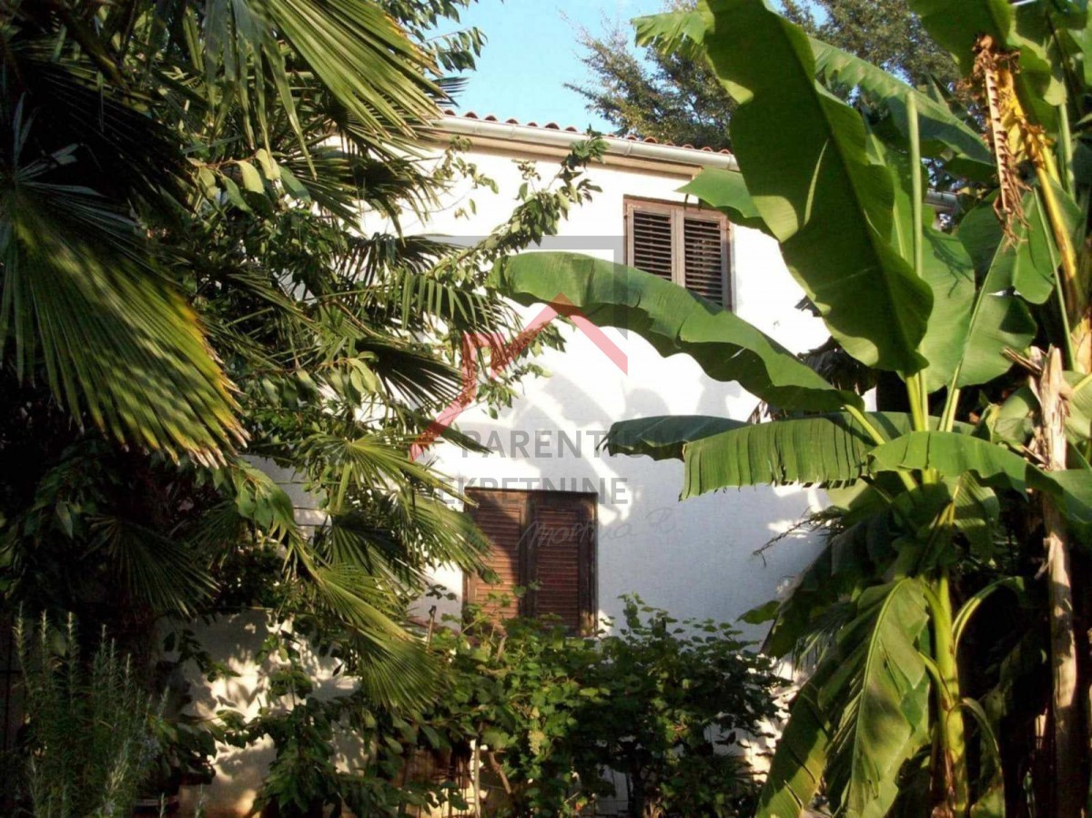 Due case su un terreno di 2000 m2, a 300 m dal mare
