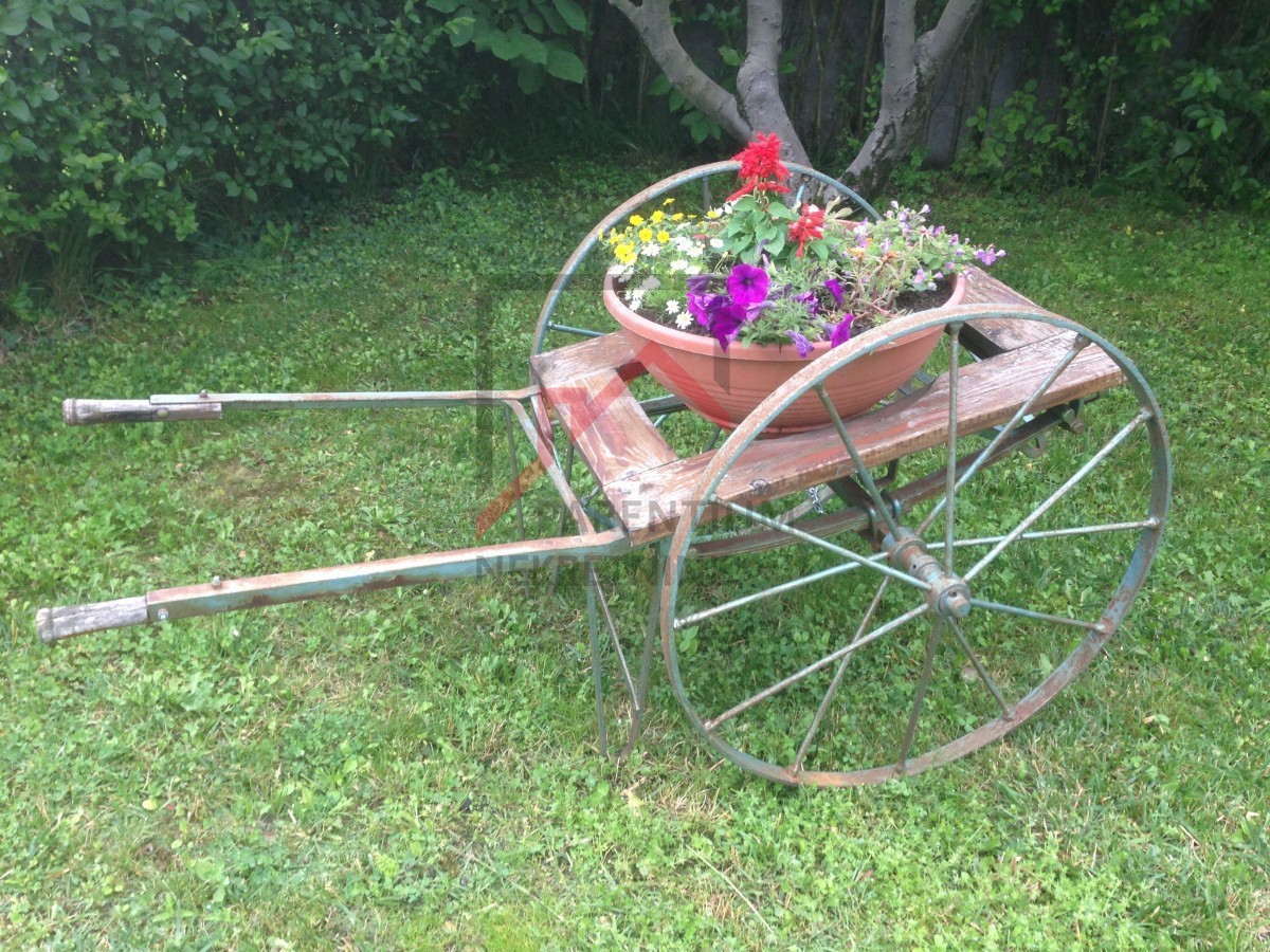 Casa con un bel cortile in una posizione tranquilla nel centro dell'Istria