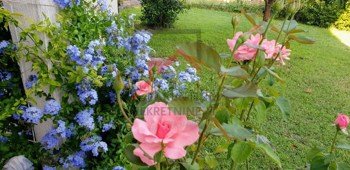 Casa con un bel cortile in una posizione tranquilla nel centro dell'Istria