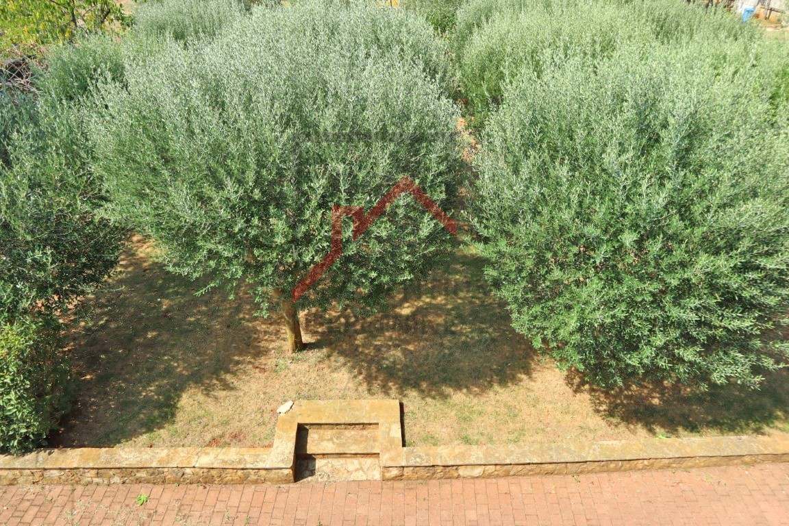 Zona Parenzo, casa con 3 unità abitative