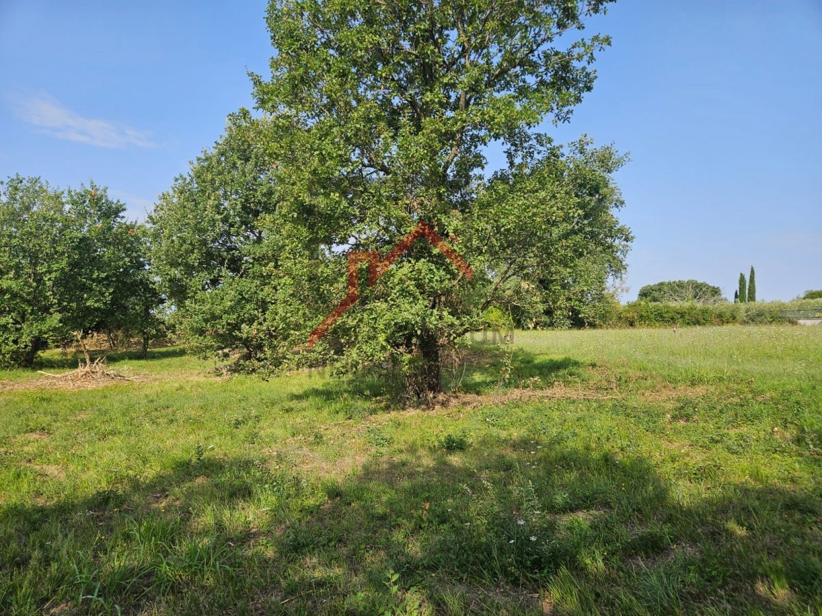 Terreno edificabile per la costruzione di appartamenti o case unifamiliari