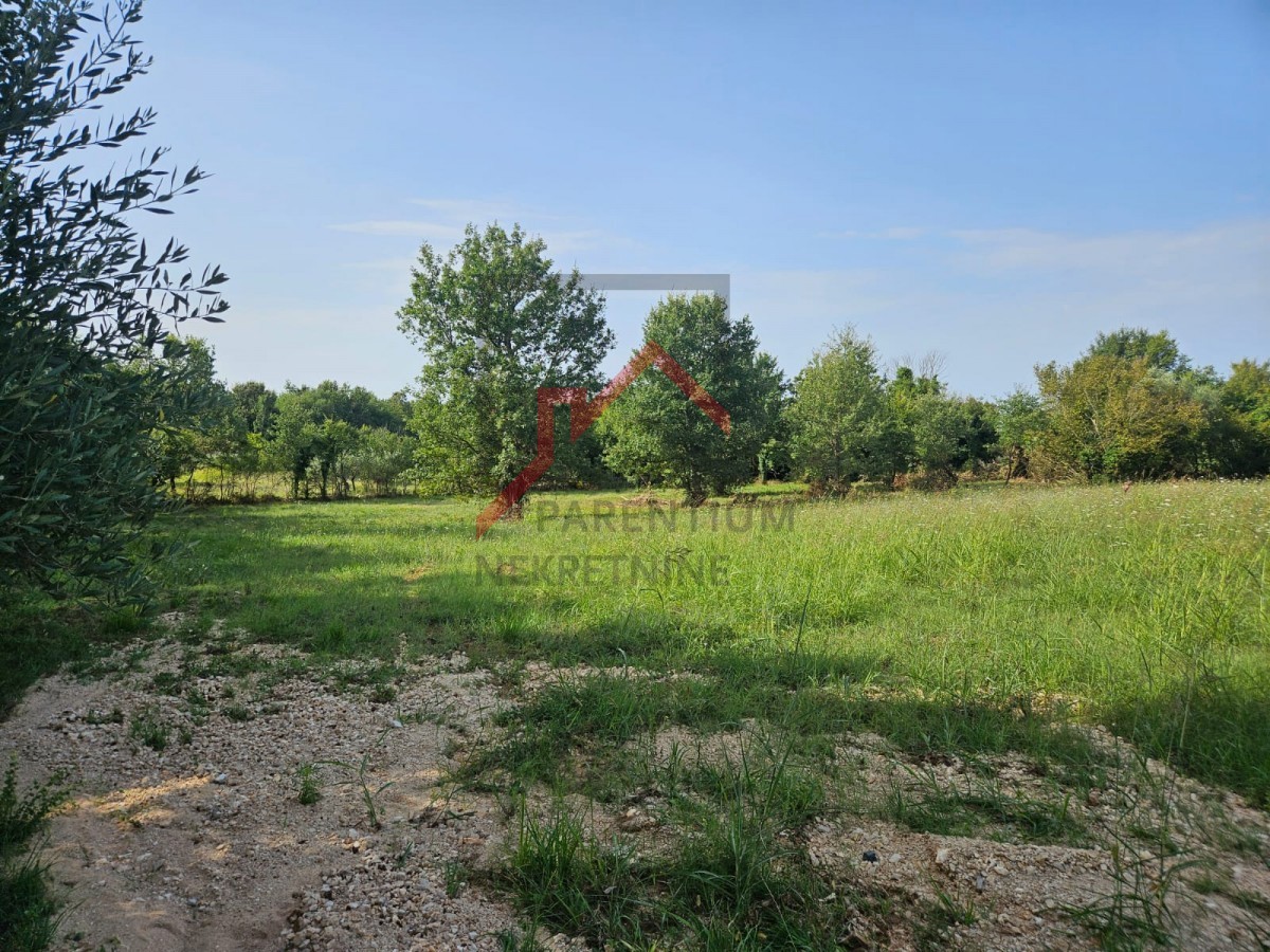 Terreno edificabile per la costruzione di appartamenti o case unifamiliari