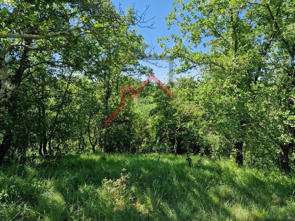 Terreno Sveti Lovreč