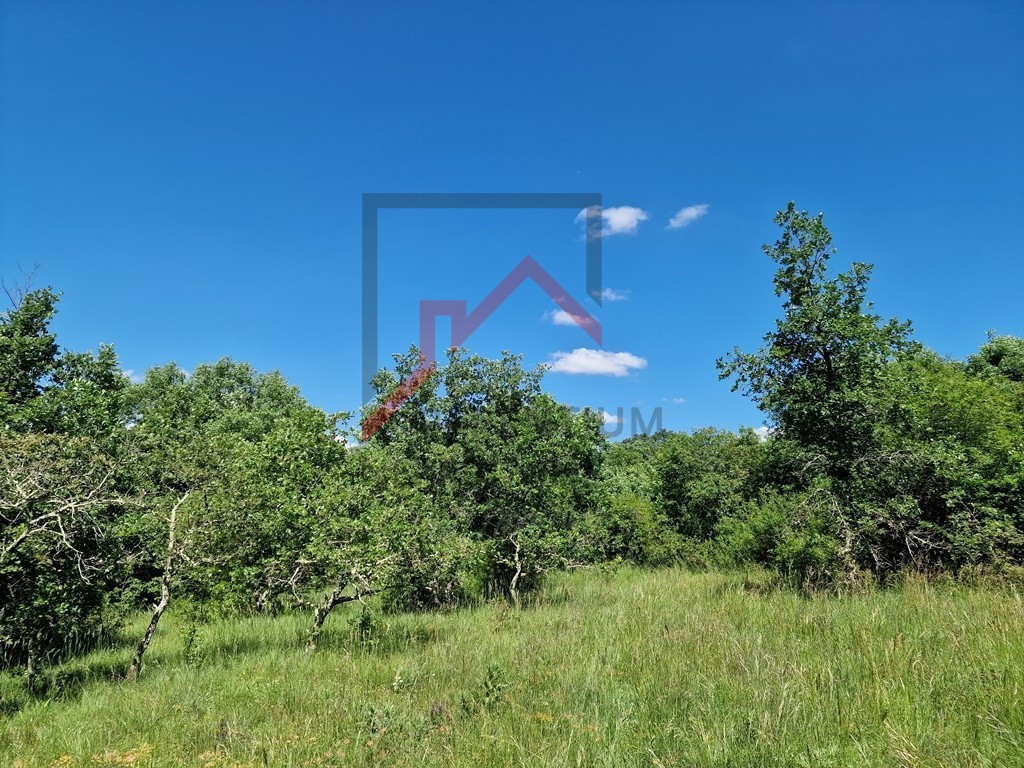 Terreno Sveti Lovreč