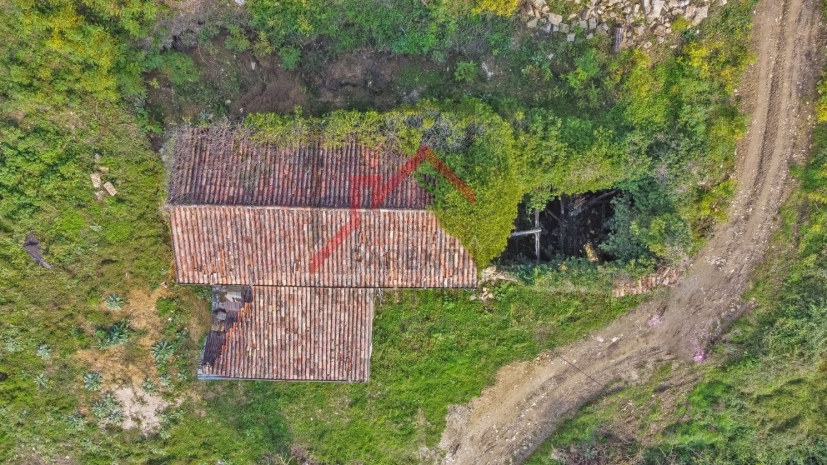 Casa in pietra da ristrutturare con ampio giardino vicino a Montona
