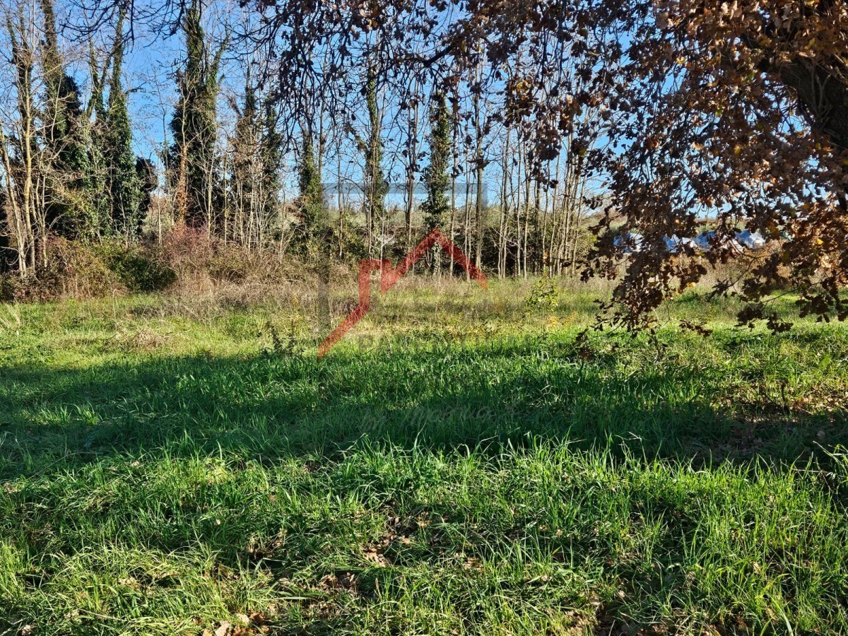 Terreno edificabile a Fontane