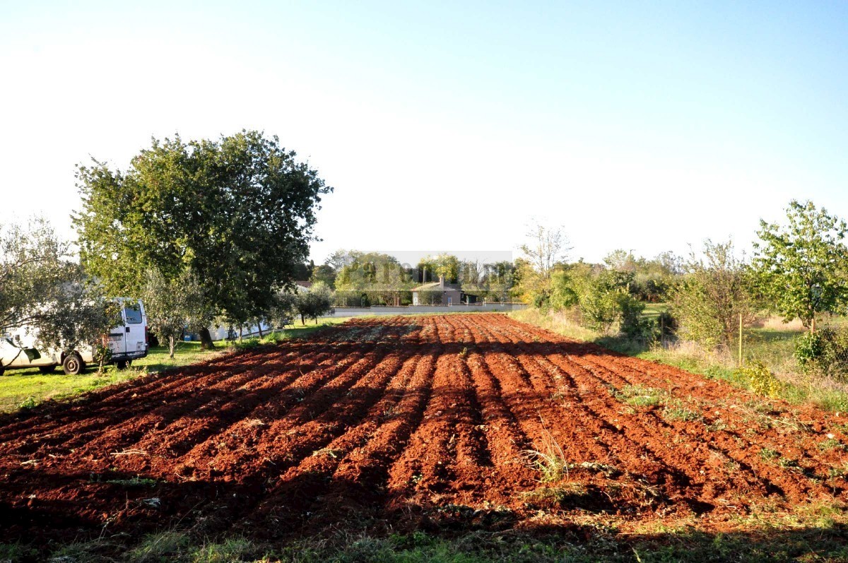 Casa familiare con ampio giardino