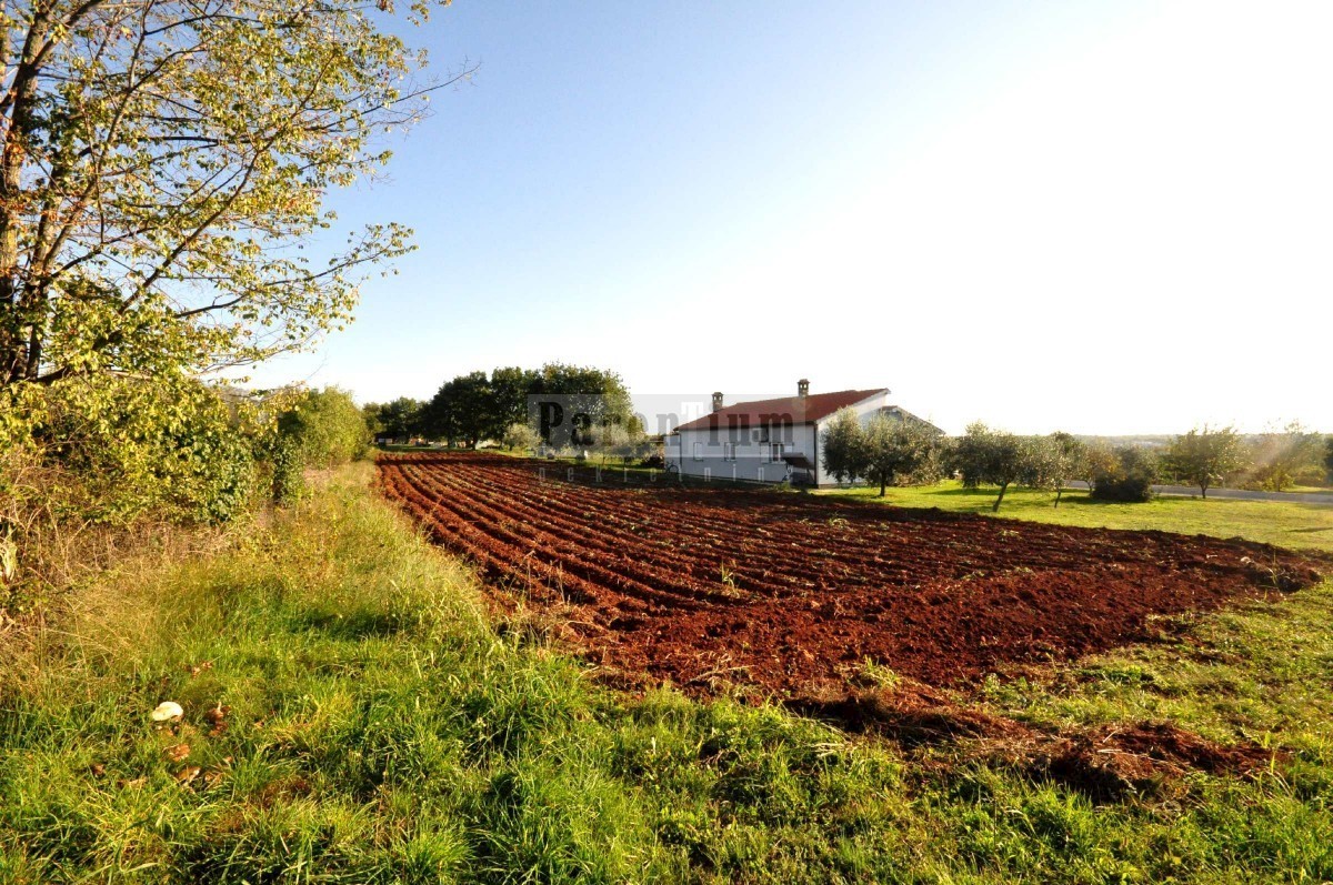 Casa familiare con ampio giardino