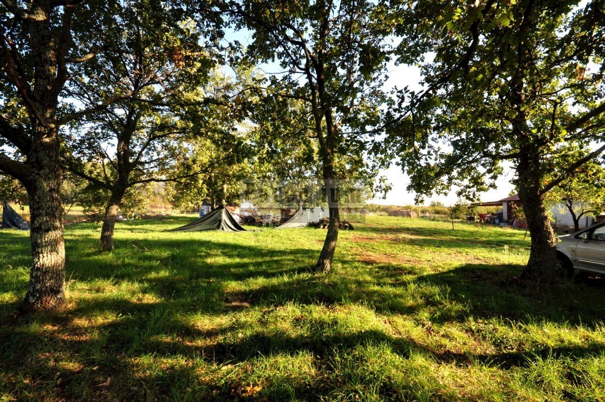 Casa familiare con ampio giardino