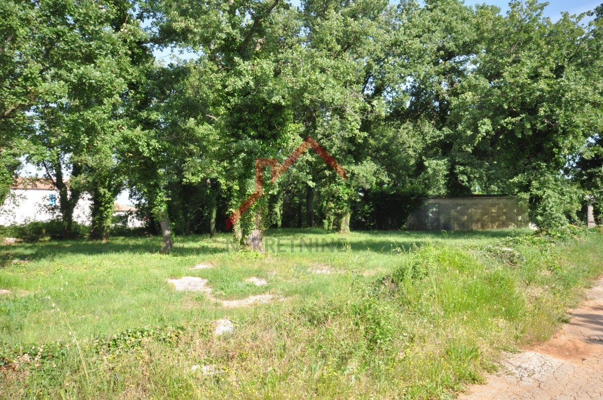 Terreno edificabile per la costruzione di più case - 3266m2