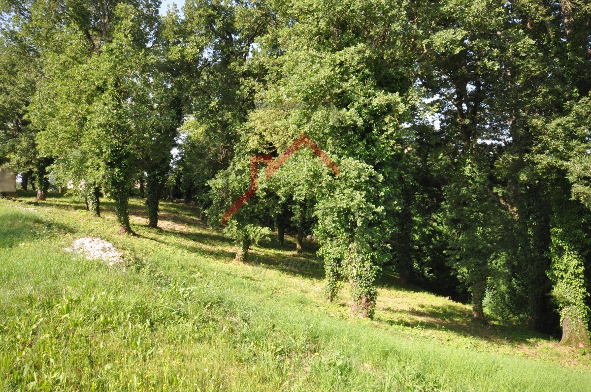 Terreno edificabile per la costruzione di più case - 3266m2