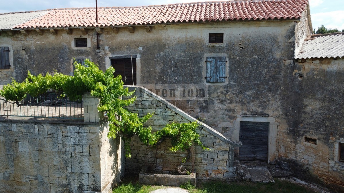 Tinjan, dintorni, Casa in pietra istriana circondata dal verde.