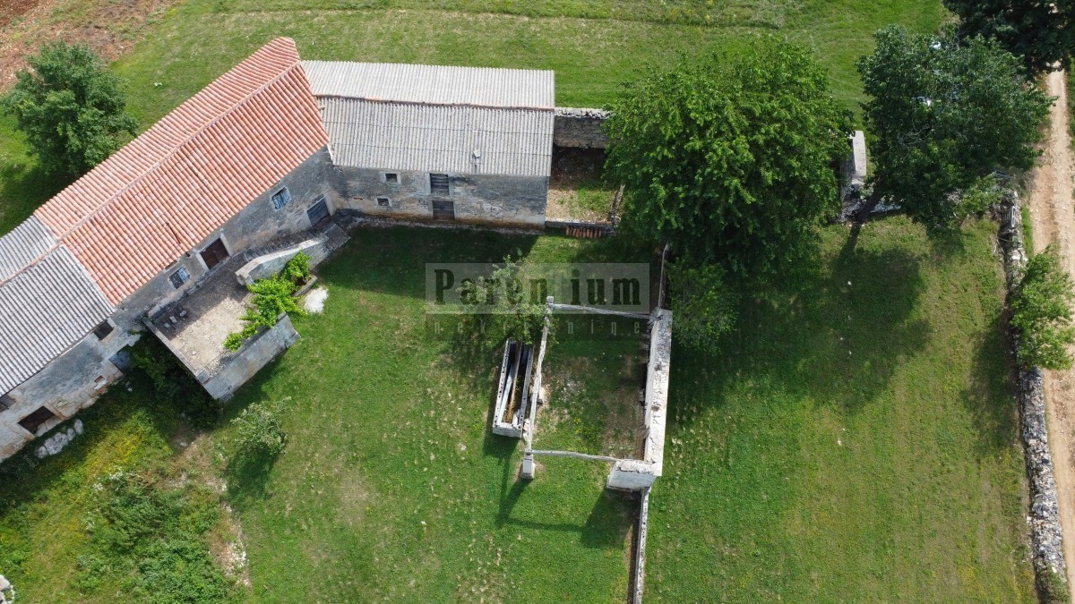 Tinjan, dintorni, Casa in pietra istriana circondata dal verde.