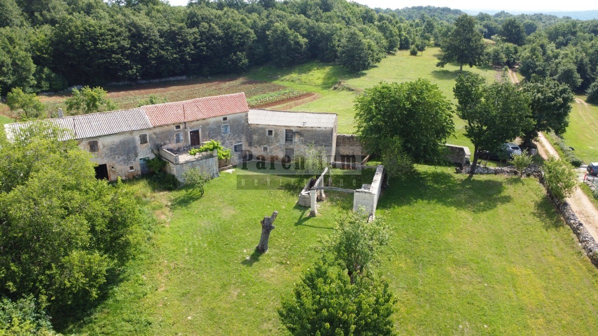 Tinjan, dintorni, Casa in pietra istriana circondata dal verde.