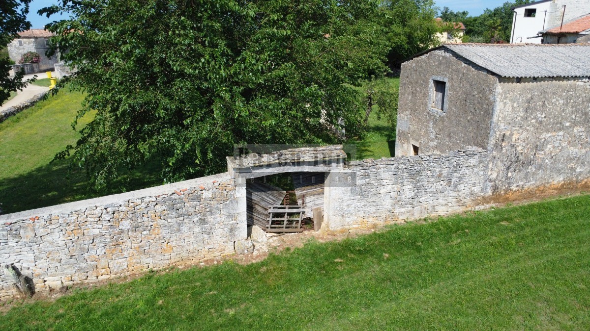 Tinjan, dintorni, Casa in pietra istriana circondata dal verde.