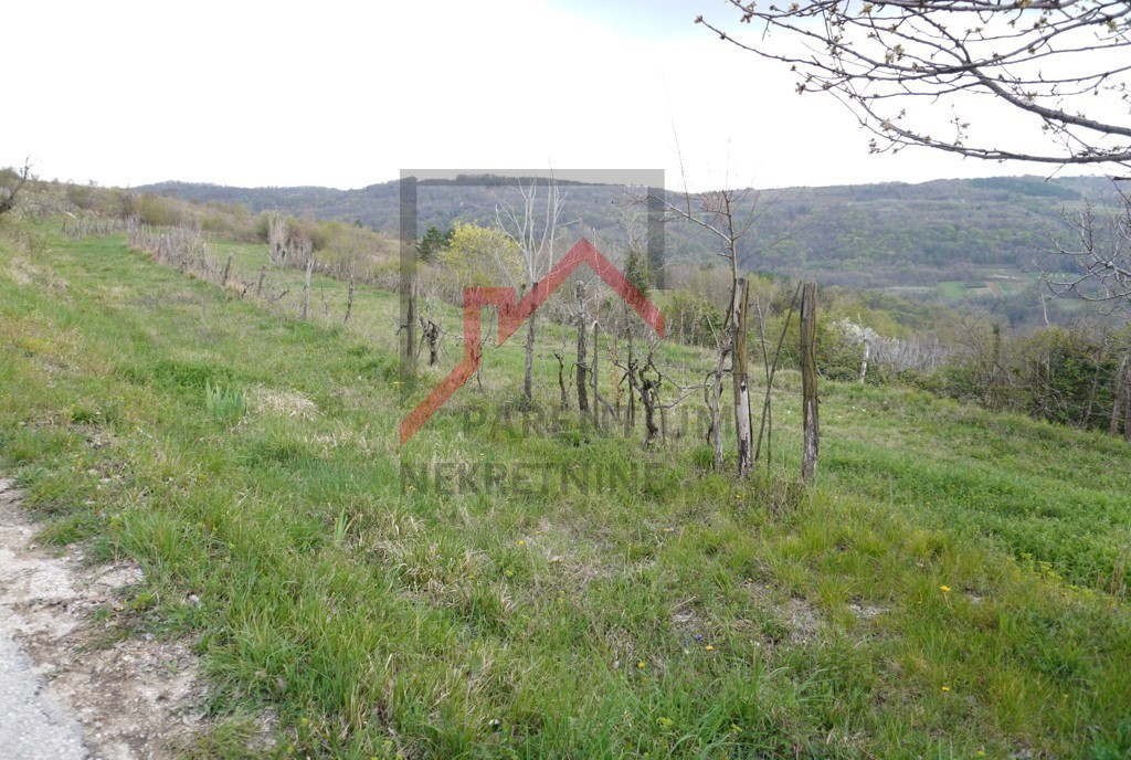 Motovun, dintorni, terreno con vista su Motovun!