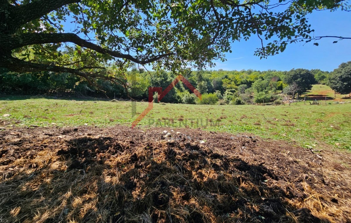 Terreno edificabile per la costruzione di una casa in posizione tranquilla