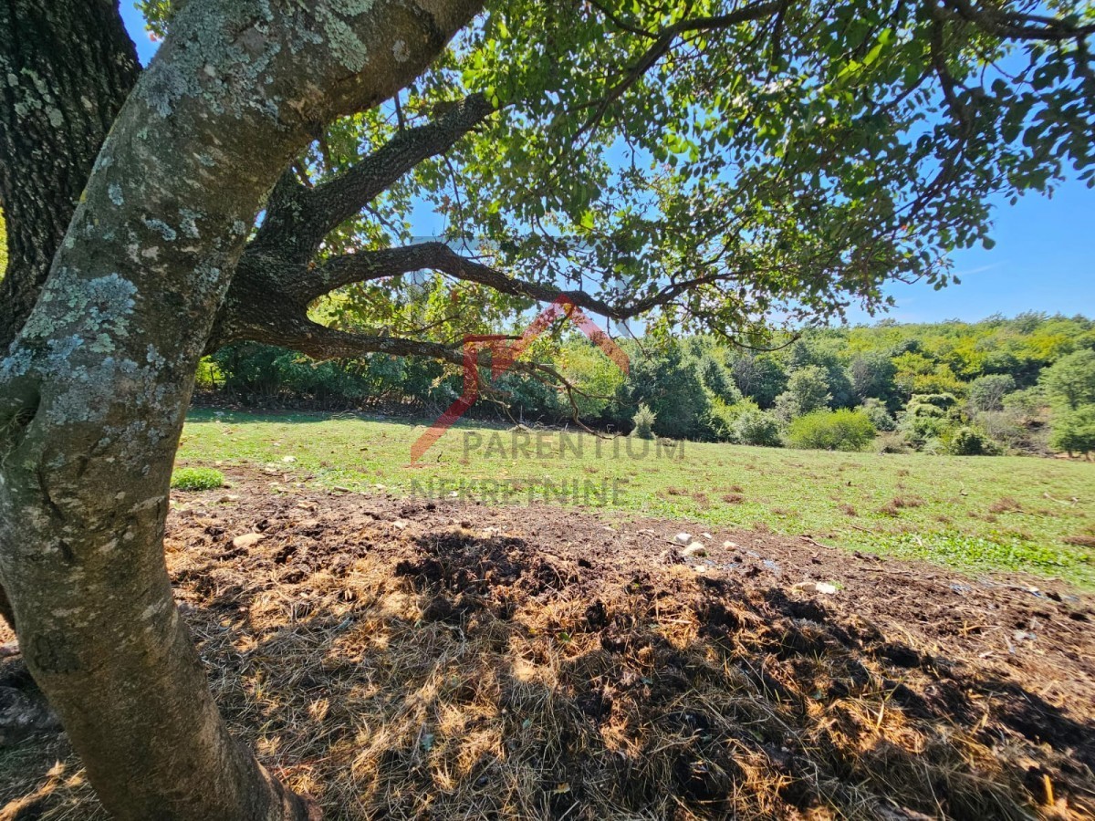 Terreno edificabile per la costruzione di una casa in posizione tranquilla