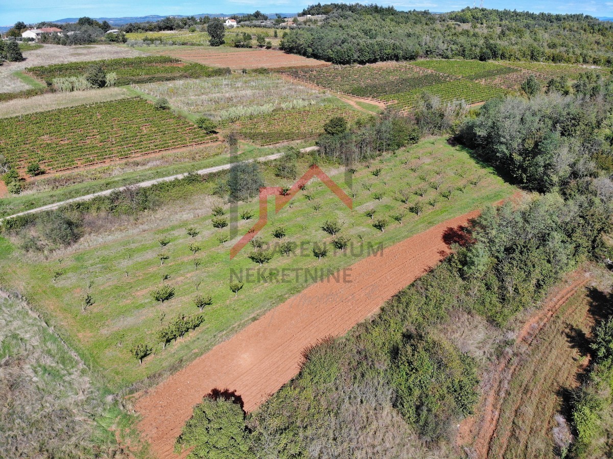 Istria, Visinada - Terreno con parte edificabile e agricola