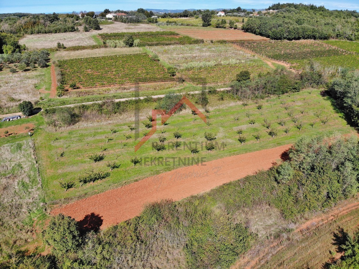 Istria, Visinada - Terreno con parte edificabile e agricola