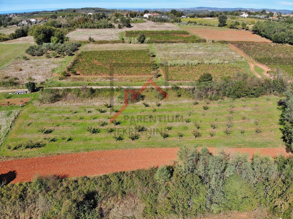 Istria, Visinada - Terreno con parte edificabile e agricola