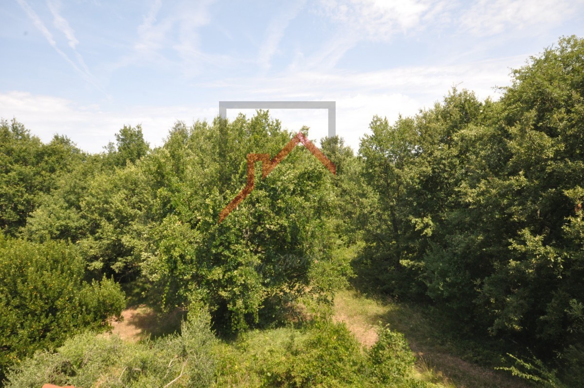 Monolocale ben arredato, a soli 900 metri dal mare