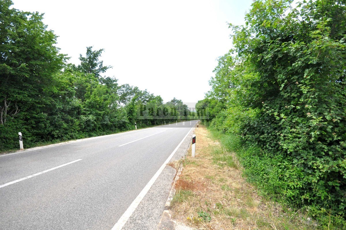 Scopo commerciale - terreno tra Rovigno e Canfanaro